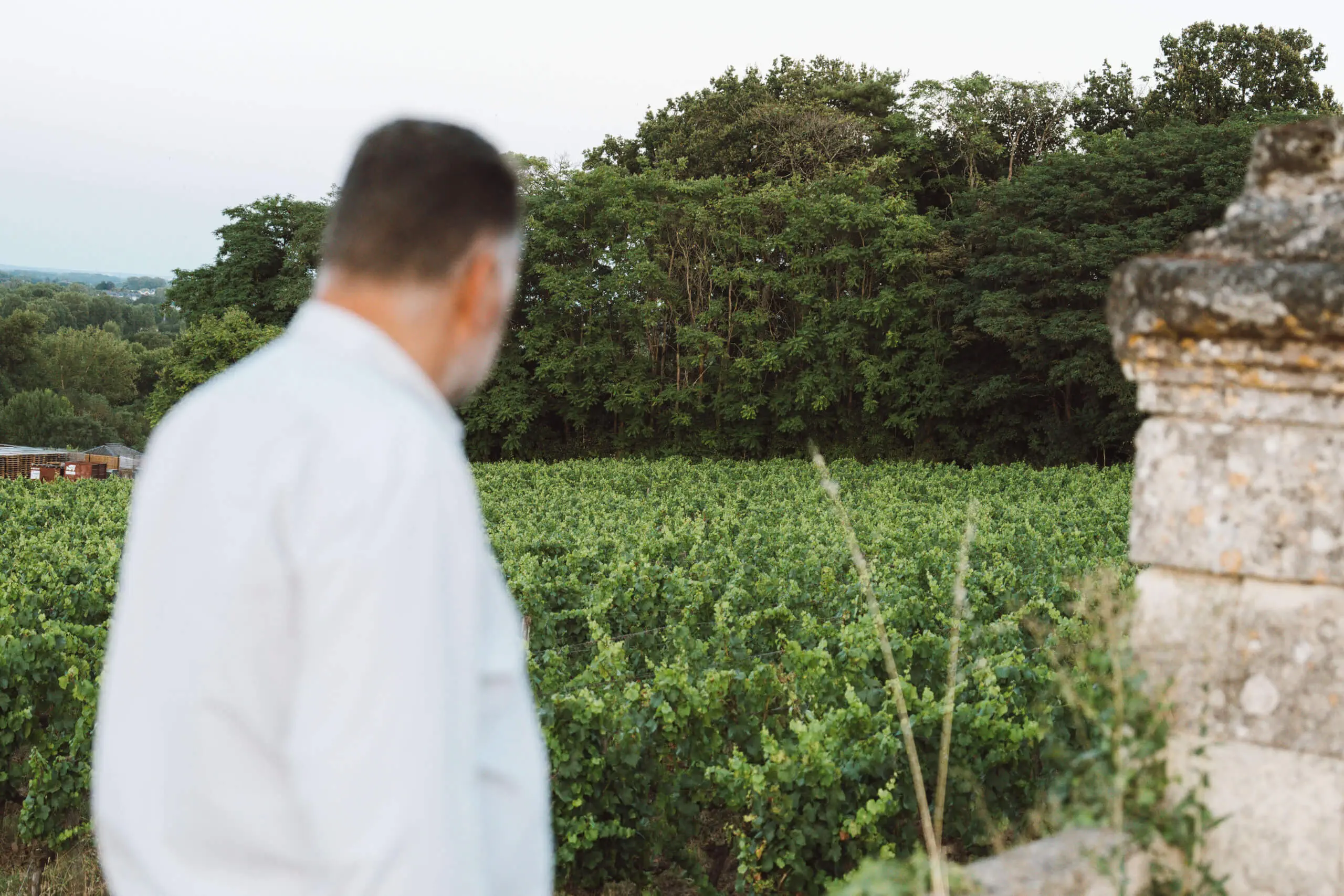 A history of excellence - Langlois Crémant de Loire