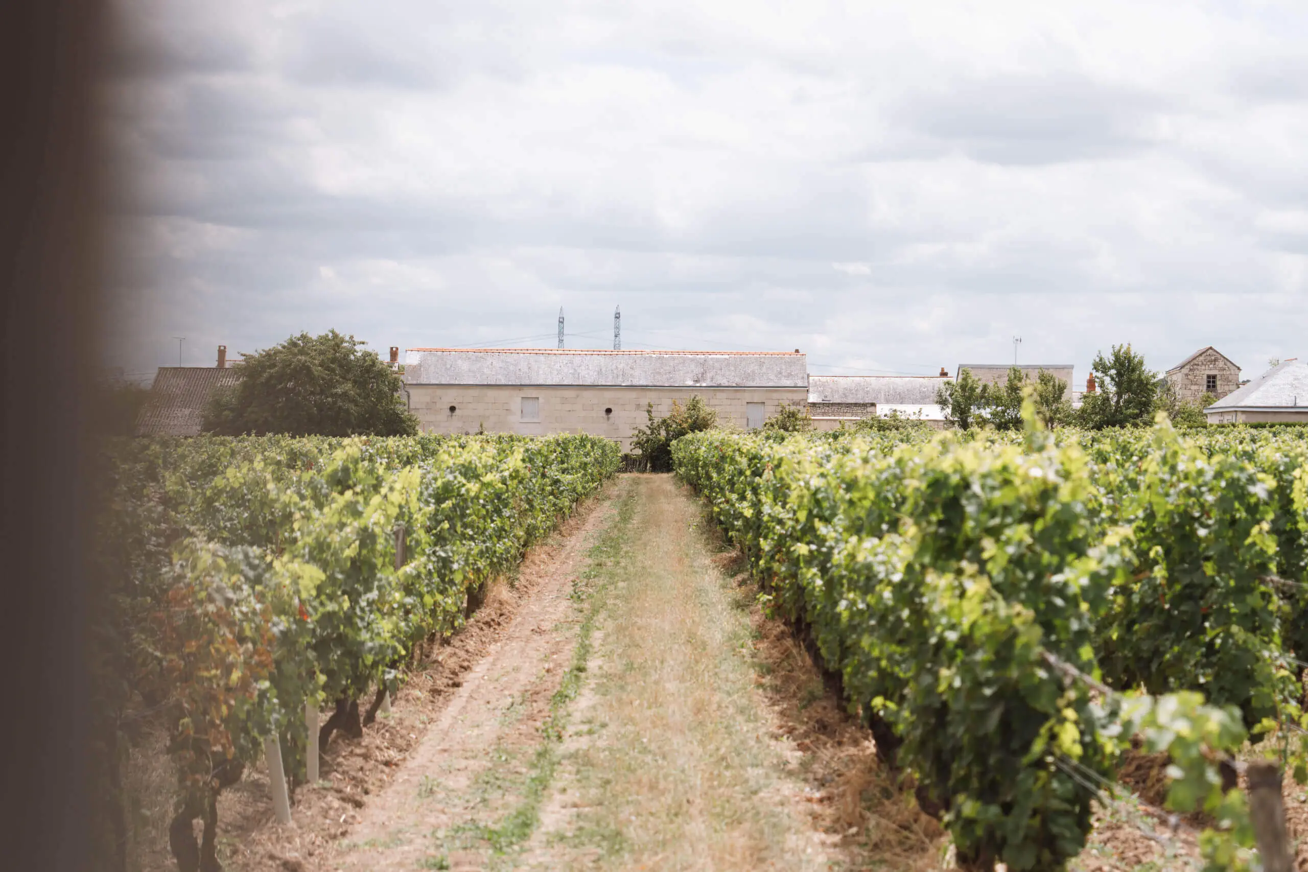 Clos Breton, Saumur-Champigny - Langlois Crémant de Loire
